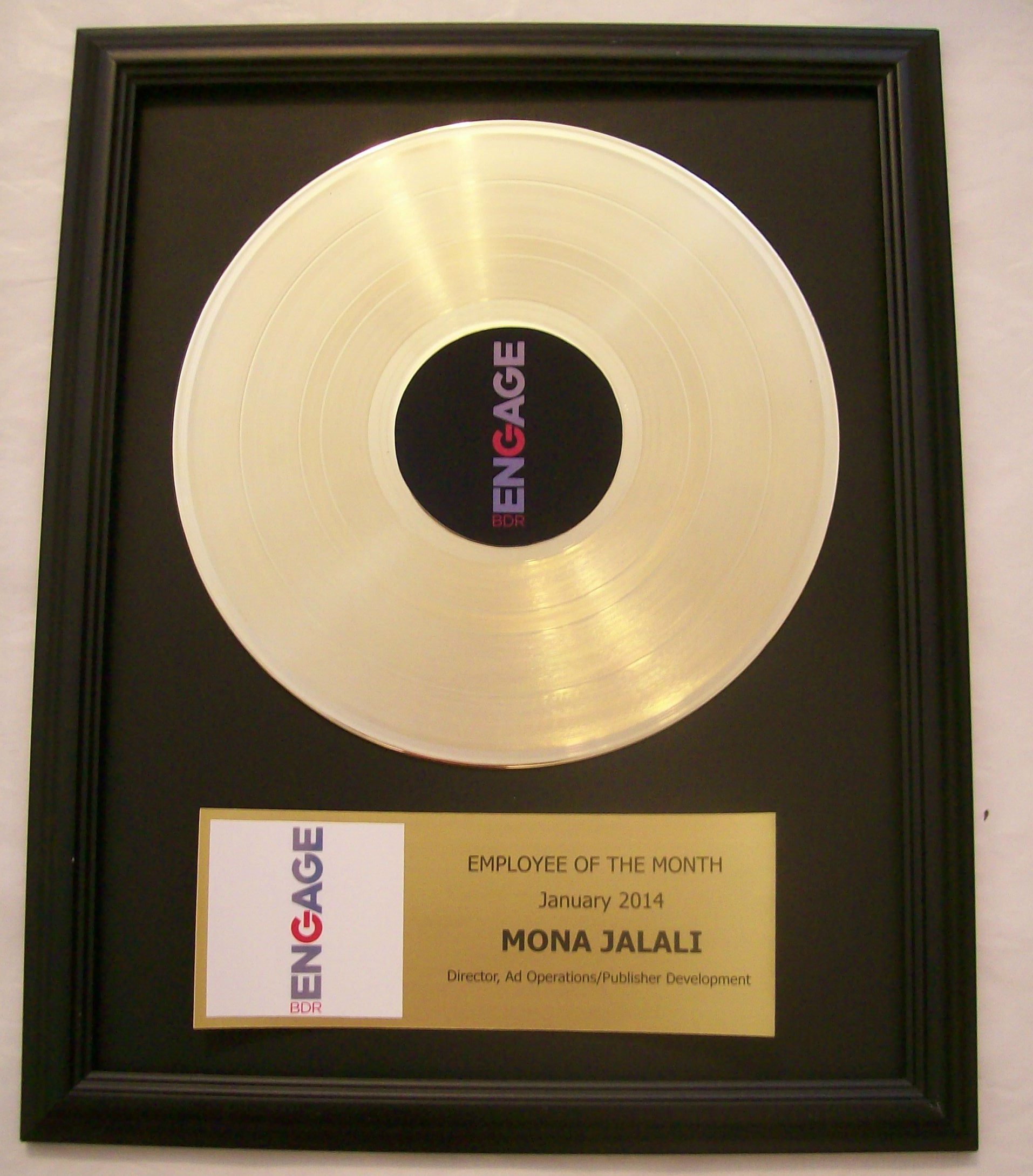 Gold Blank Record Blank 33 1/3 Vinyl LP - Metalized Gold 12 Record Music  Award